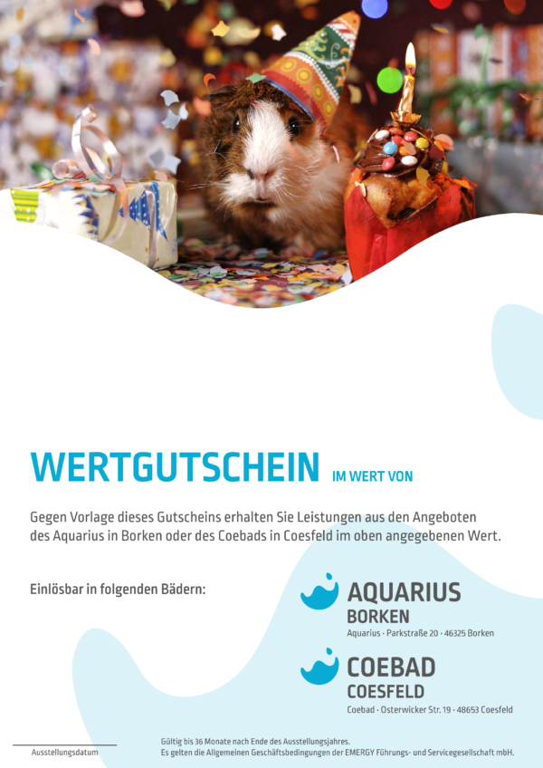 Meerschweinchen